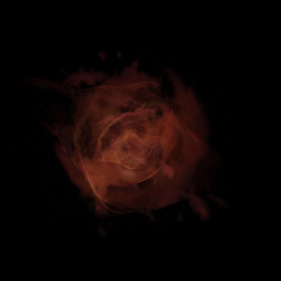1-RCW 79-3D nebula.jpg