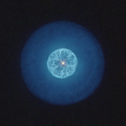 IC3568.jpg