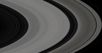 rings closeup A.jpg