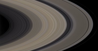 rings closeup B.jpg