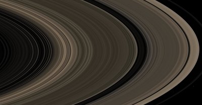 rings closeup C.jpg