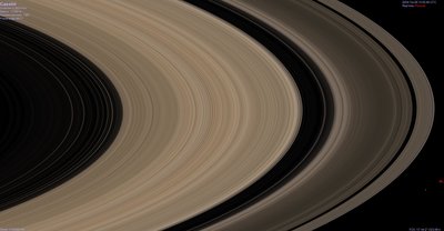 rings closeup D-i.jpg